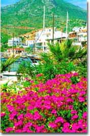 Dat�a liman�ndan g�r�n�m